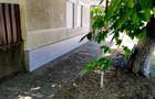 Casa + Curte + Teren arabil generos, Nerau, Teremia Mare, 1596 mp, locuibila imediat - 9