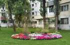 Apartament cu 2 camere decomandat în Alexandru cel Bun - 1