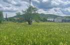 Ultracentral - Breaza - 2