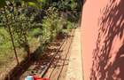 Apartament 2 camere decomandat zona Bradesti - 10
