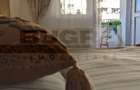 Apartament 3 camere lux, 2 bai, zona Dorobantilor - 10