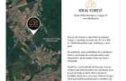 Lot de teren cu autorizatie si proiect casa 500mp Snagov - 10