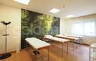 Apartament cu 6 camere decomandat în Herăstrău - 6