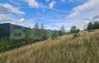 Teren intravilan 5.271 mp cu priveliște spectaculoasă – Gârda de Sus, Snide - 4