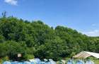 Transilvania Camping, domeniu de 14.400mp,Sanmarghita de Mures:2cladiri, apartam - 19