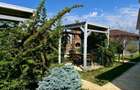 Locatie PREMIUM pentru visul taude la business la acasa - 3