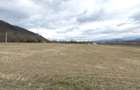 Teren de 2800 mp, în Turnu Roșu - 8