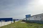 Teren stradal 5000 mp- deschidere 20 metri- Zona Selgros Craiova - 3