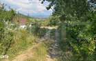 Teren extravilan, de vanzare, 1.500 mp, zona Valea Ghinzii-strada Palt - 2