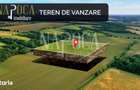 Teren intravilan pentru constructii de vanzare in Dambul Rotund, Cluj - 4