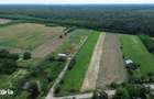 OCAZIE - Teren Intravilan - 8300 mp, Gruiu - Padurea Snagov - 3