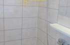 Apartament cu 2 camere nedecomandat în Tătărași - 5