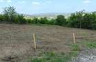 Teren de vanzare, 1079 m2(2parcele), Visan, jud.Iasi.Proprietar! - 2