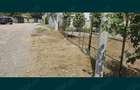 Vanzare teren Mamaia Sat - Constanta - 2