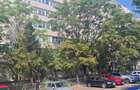 Apartament cu 3 camere decomandat în Dristor - 17