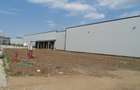 Spațiu industrial, de 10,000 mp, în Vest - 6