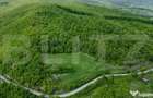Teren superb, in mijlocul naturii, 18.360 mp, la Carji?i - 5