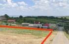 Teren intravilan Tomesti-Chicerea 1000mp - 1