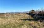 Teren Construcții intravilan de 7600 mp, în Periferie - 5