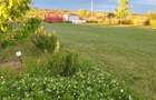 Teren deosebit zona Parc Dendrologic Lilieci 1200mp - 3