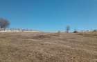 Teren intravilan de 15096 mp, în Mărișel - 3