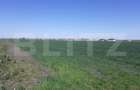 Teren cu suprafata de 3 ha, front 52 m, zona Calea Aradului - 3