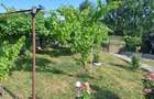 Proprietar vand casa - 1