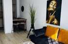 Apartament cu 2 camere decomandat în Torontalului - 9