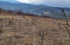 Teren Intravilan 43Ari zona Ortelec-Zalau intre case 4800eur/ar - 9
