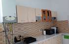 Apartament cu 2 camere în P-ța Unirii - 11