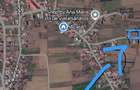 Teren intravilan 964 mp Urechesti, Vrancea Str. Lalelelor - 3