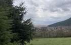 Teren intravilan 5.000 mp Garcina | 12 min de Piatra Neam? | Padure + priveli?te - 4