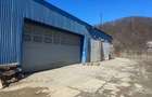 Spatiu comercial de inchiriat - 7