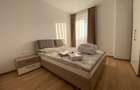 Apartament cu 3 camere decomandat în Take Ionescu - 8