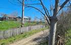Vand teren in Com . Dumitresti, Jud. Vrancea - 10