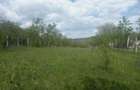 Teren intravilan 1700 mp - Drajna de Jos, Poiana Mierlei 15/mp, neg - 4