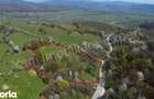 Teren 15.856 mp de vanzare in comuna Valea Ia?ului, jude? Arge?. - 5