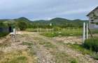 3463 mp teren intravilan Seini de vanzare, toate utilitatile, construibil, plat - 5