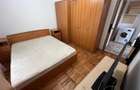 Apartament cu 3 camere decomandat în Bistrița Lac - 9