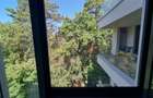 Apartament cu 3 camere decomandat în Drumul Poienii - 15