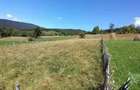 Teren de 2500 mp, în Valea Doftanei - 2
