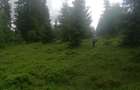 Teren de vanzare Belis1300mp Strada principala Intravilan - 4