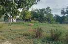 Casa+2000m2, zona centrala in sat Oprisenesti, jud Braila - 3