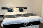 Apartament 2 camere de vanzare Baneasa Sise?ti - 10