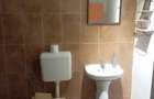 Casă cu 6 camere cu Teren 3100 Mp în Pișchia - 8