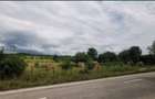 Teren Lac Domnesti Arges 18100 mp - 1