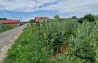 Teren de vanzare - 967 mp, Islaz, Ilfov - Ideal pentru locuinta - 9