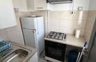 Apartament de lux cu 2 camere de inchiriat - 6