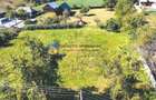 TEREN intravilan 3260 mp  ROZNOV – CHINTINICI - 5