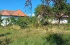 Vand casa in Sanpetru de Campie - 4
